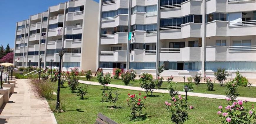 Altınoluk Satılık Daire | Denize Sıfır | Deniz Manzaralı | Özel Plajlı | İçi Yenilenmiş