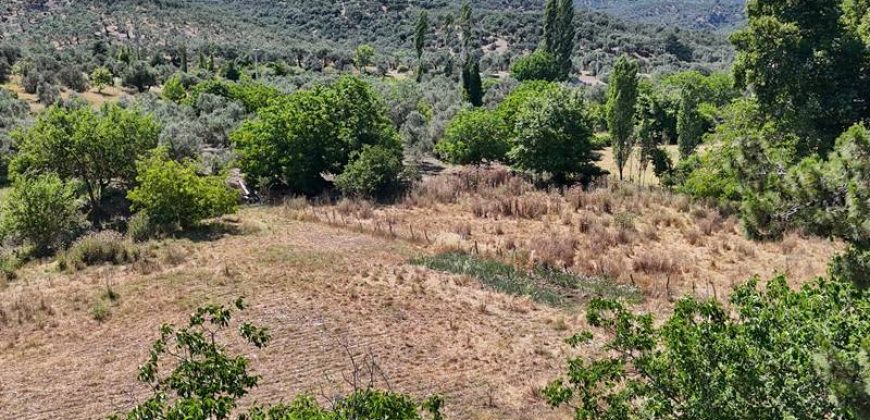 Küçükkuyu Mıhlı Çayı Kenarında Satılık 6685 m² Çiftlik | Yapı Kayıt Belgeli & Bungalova Uygun