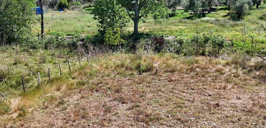 Küçükkuyu Mıhlı Çayı Kenarında Satılık 6685 m² Çiftlik | Yapı Kayıt Belgeli & Bungalova Uygun
