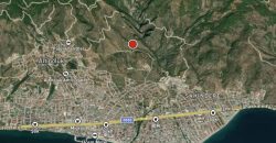 Altınoluk Satılık Zeytinlik | Deniz Manzaralı | Yolu Açık | Altınoluk Merkez