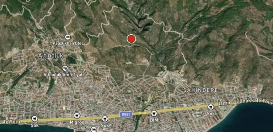 Altınoluk Satılık Zeytinlik | Deniz Manzaralı | Yolu Açık | Altınoluk Merkez