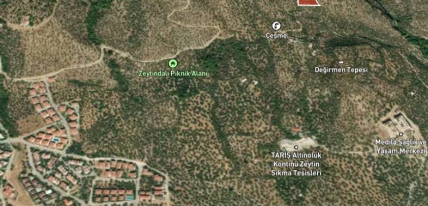 Altınoluk Satılık Zeytinlik | Deniz Manzaralı | Yolu Açık | Altınoluk Merkez