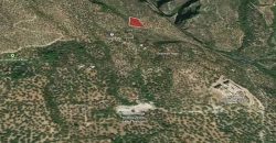 Altınoluk Satılık Zeytinlik | Deniz Manzaralı | Yolu Açık | Altınoluk Merkez