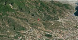 Altınoluk Satılık Zeytinlik | Deniz Manzaralı | Yolu Açık | Altınoluk Merkez
