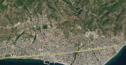 Altınoluk Satılık Zeytinlik | Deniz Manzaralı | Yolu Açık | Altınoluk Merkez